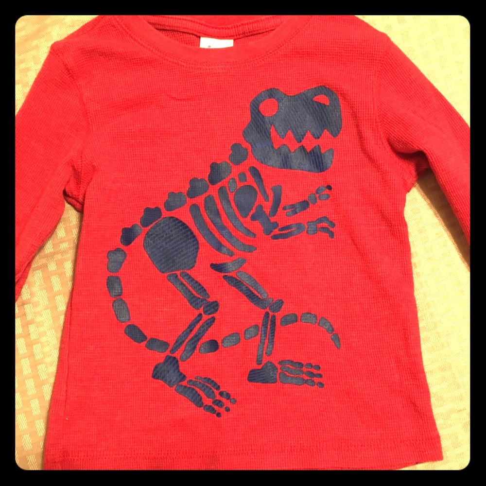 Long sleeve Dino shirt